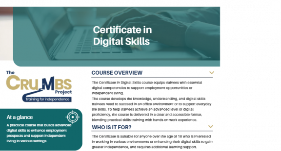 Digital Skills Programme Overview